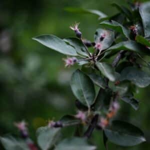 Photo Dropshipping process