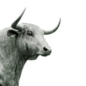 Photo Stock market