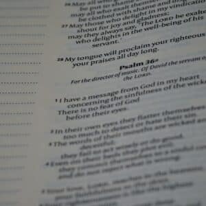 Photo Online surveys